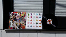 Load image into Gallery viewer, Milk Mountain - Vinyl